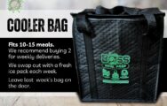 cooler bag