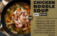 chicken noodle soup
